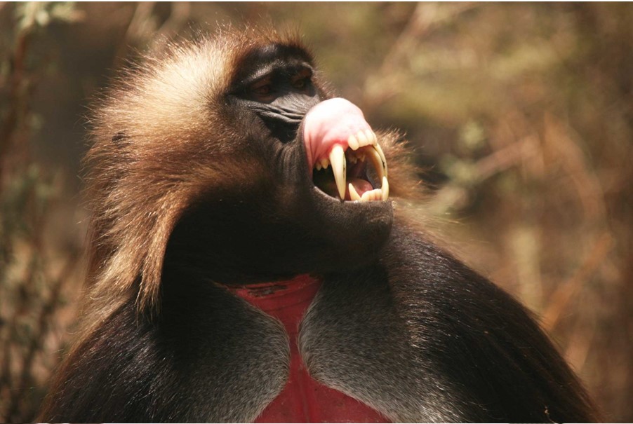 Screenshot 2025-09-30 143312